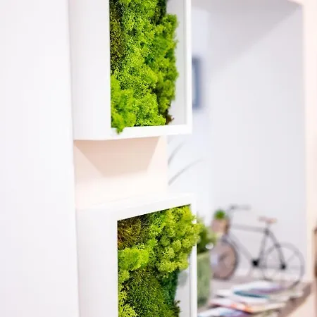 Apartamento Bora *