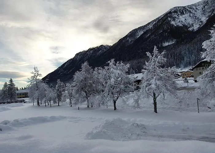 Lejlighed Bora Villach